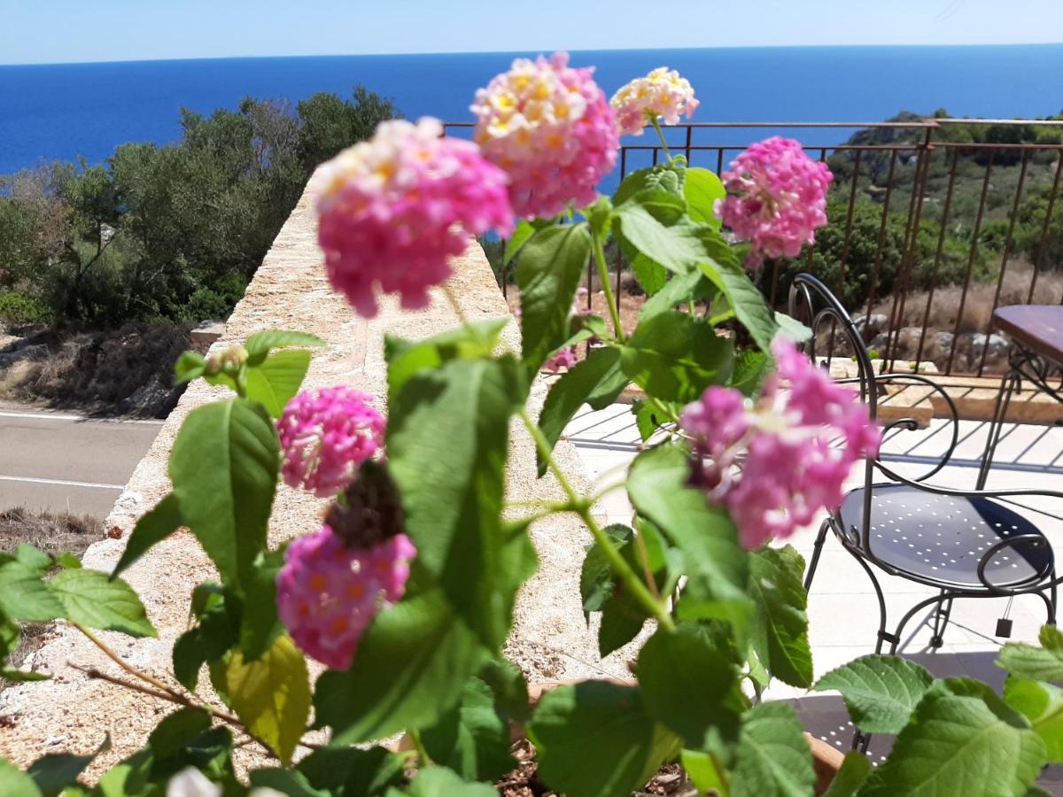 Villetta Cipolliane Santa Maria di Leuca Bagian luar foto